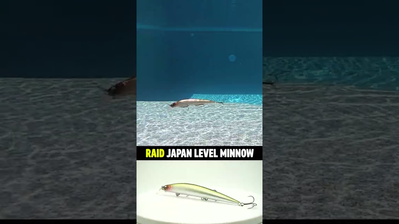 Legit or BEEP! Raid Japan Level Minnow Bass Fishing Jerkbait #shorts