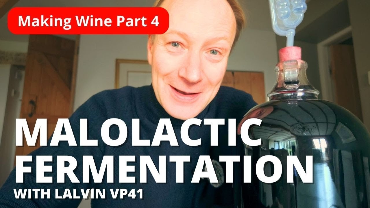 Making Red Wine. Malolactic Fermentation -  How I do the secondary ferment. Part 4