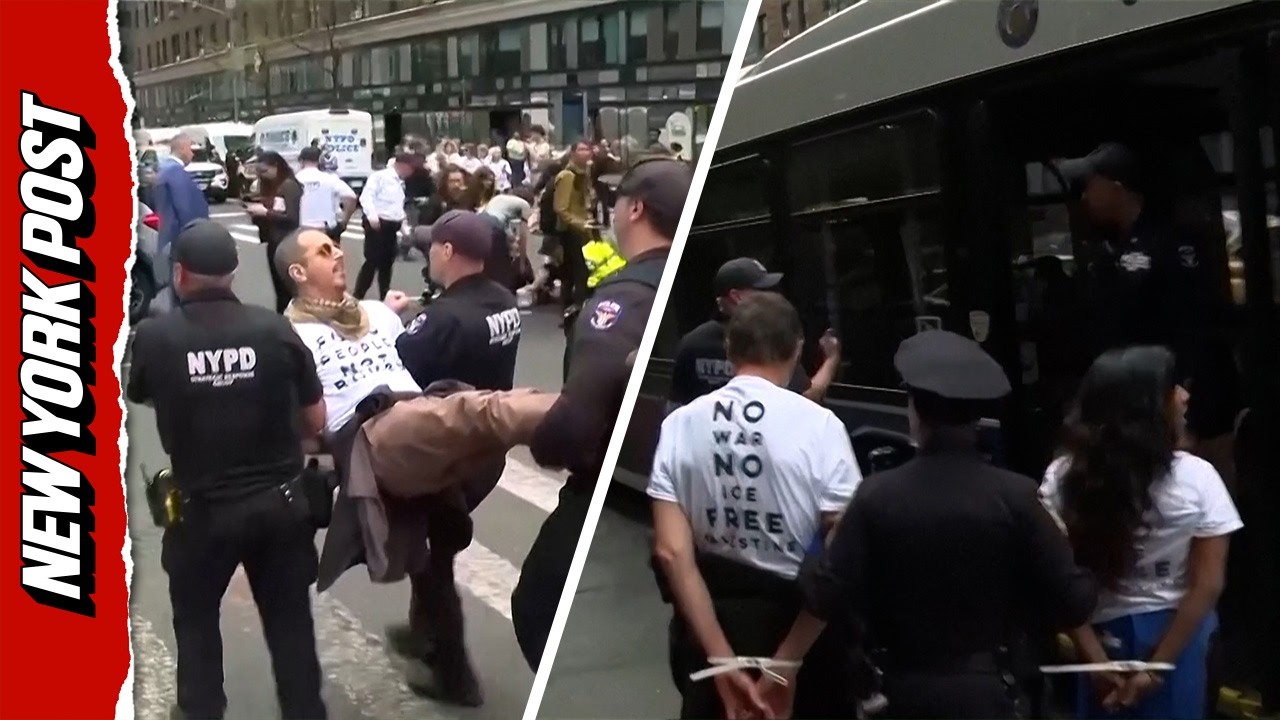 300 Protesters Stage Sit-In, NYPD Makes Mass Arrests Outside NY Senators' Offices