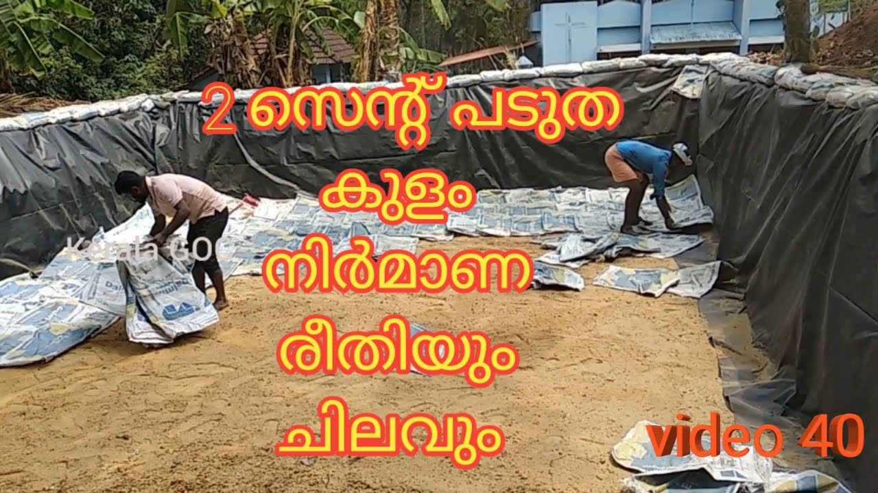2സെന്റ് പടുത കുളം നിർമ്മിക്കാം ചിലവും രീതിയും #keralagoc