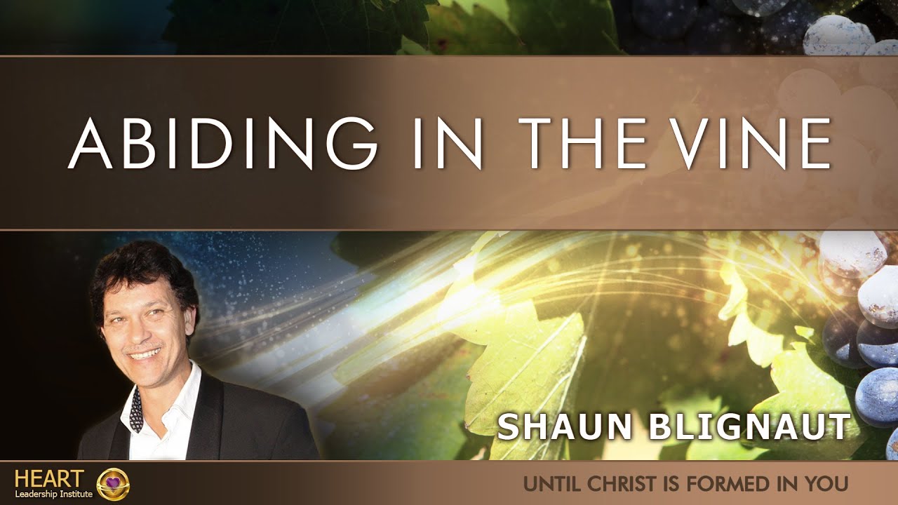 Abiding in the vine - session 2 (audio)