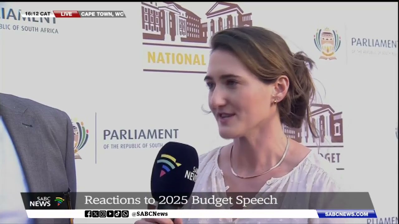 Budget Speech 2025 | Economists reactions to budget