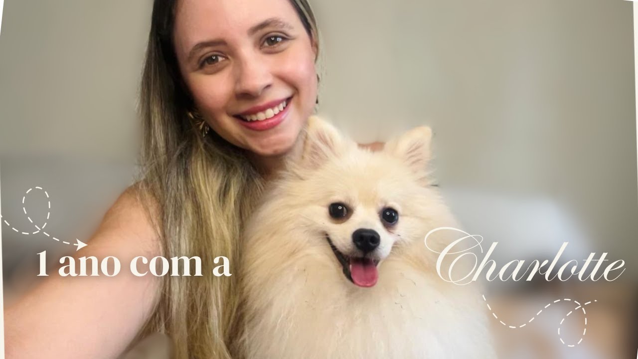 EXPERIÊNCIA DE 1 ANO COM SPITZ ALEMÃO | COMPORTAMENTO|   PELAGEM | CASTRAÇÃO |VASINAÇÃO E MUITO MAIS
