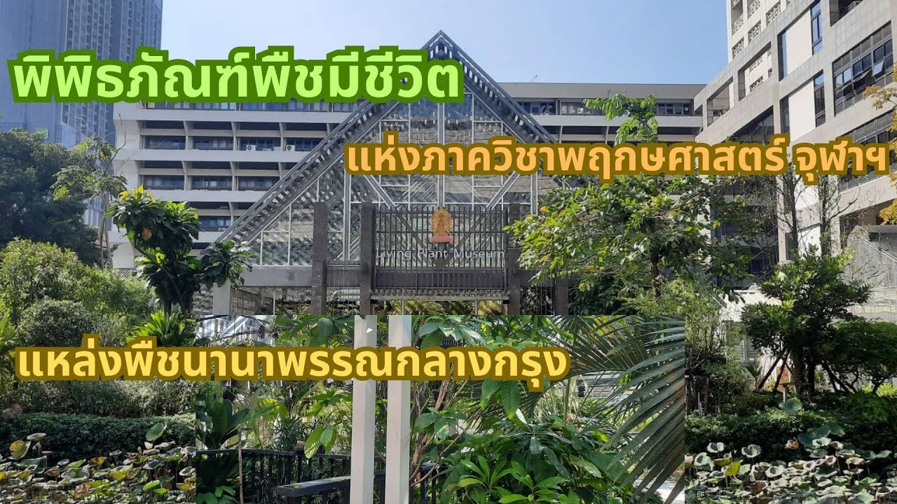 ไปหาพืชนานาพรรณ ที่พิพิธภัณฑ์พืชมีชีวิต แหล่งใกล้ชิดธรรมชาติลับกลางกรุง แห่งจุฬาลงกรณ์มหาวิทยาลัย