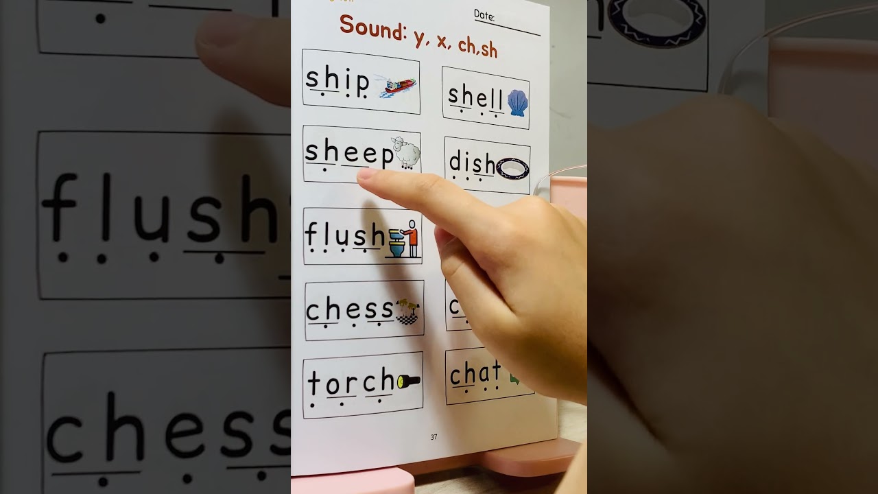 [Mèo học Tiếng Anh] Sound: y, x, ch, sh 