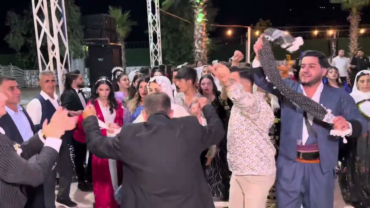 Yusuf sanır düğünü sanır ailesi Grup Welat silopi &liva garden düğün salonu