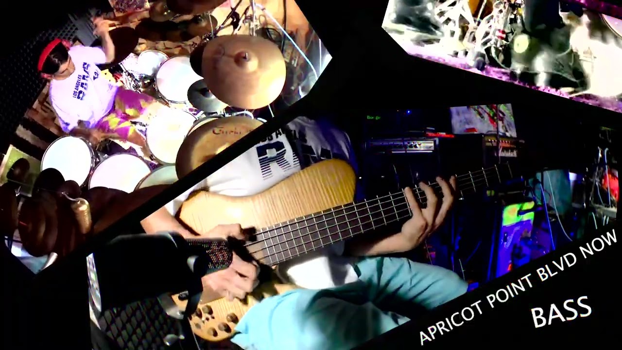 APRICOT POINT BLVR NOW  :  BASS 2ND MIX