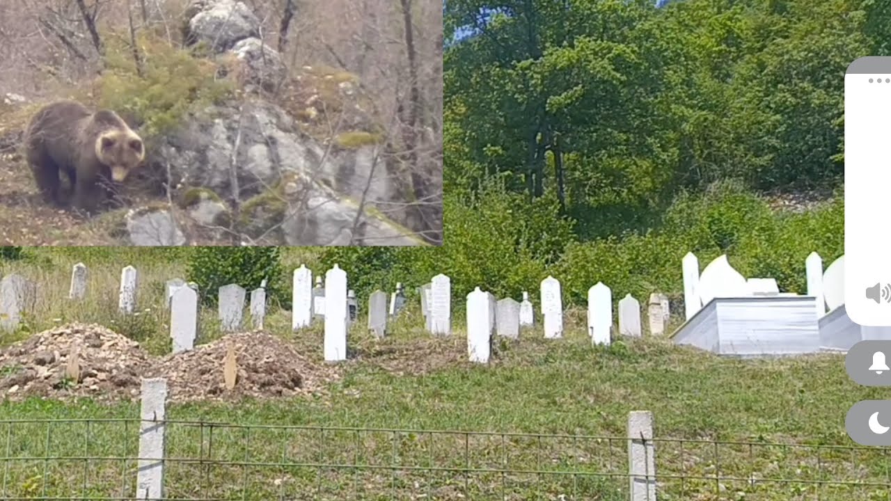 Medvjedi oskrnavili mjesno mezarje u mjestu Skomorje mjestani u starhu