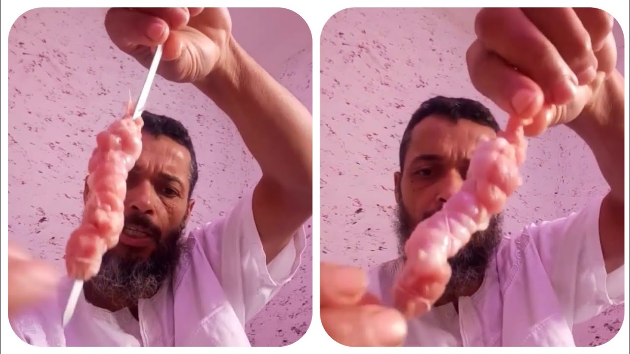 طريقة جمع الكراب او العكريش مع رايس فتحي /فعال لصيد اسماك الدوراد