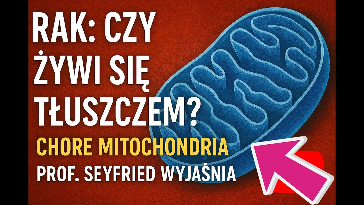 Rak - czy żywi się tłuszczem🔬⚠️? Chore mitochondria i dieta keto w raku - prof. Seyfried wyjaśnia