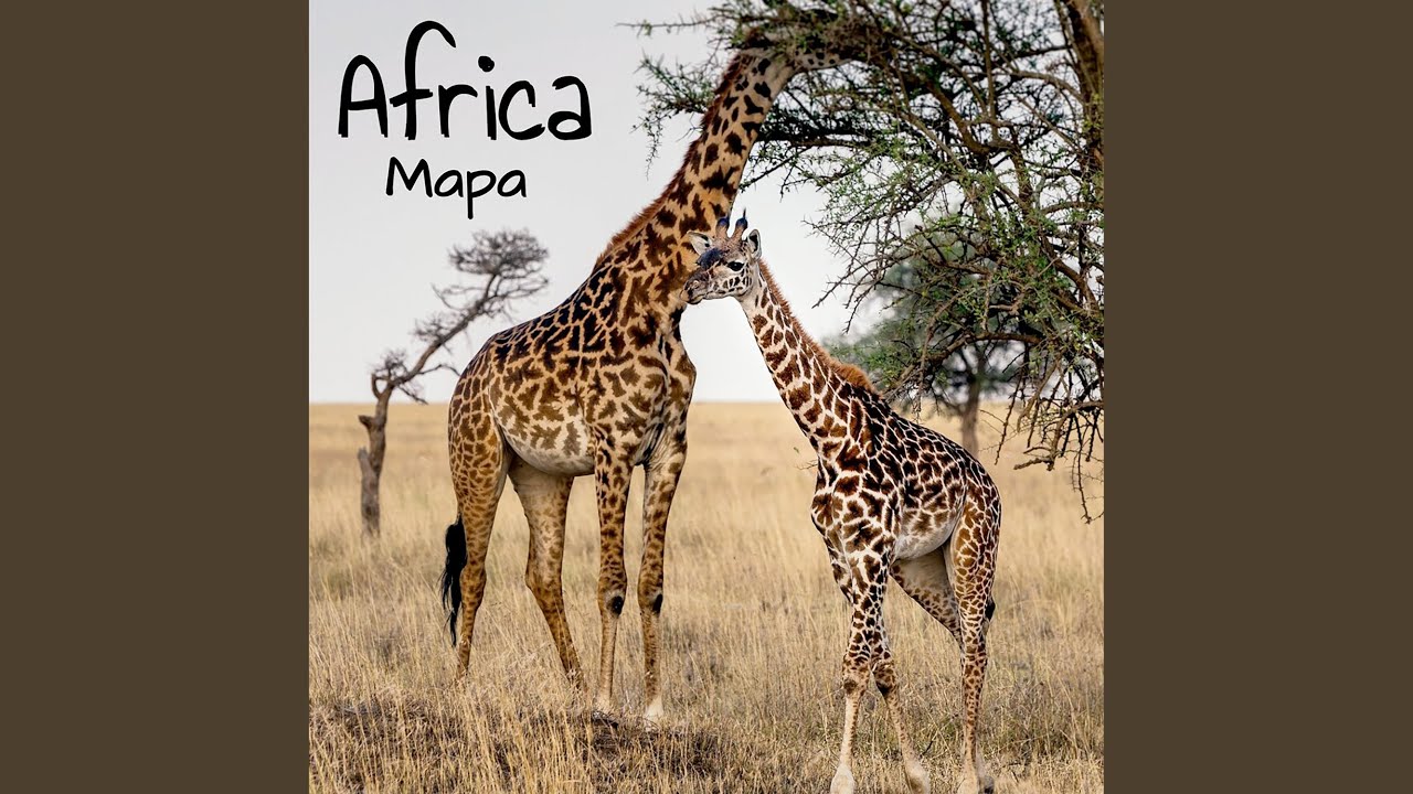 African Adventure