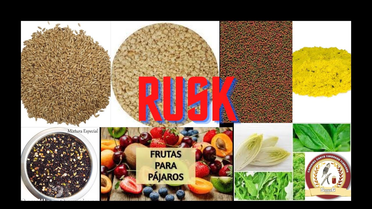 ALIMENTACIÓN PARA CANARIOS: RUSK