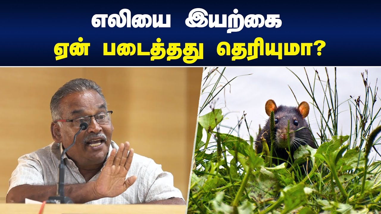 எலியை இயற்கை ஏன்  படைத்தது தெரியுமா? Kovai Sathasivam Speech