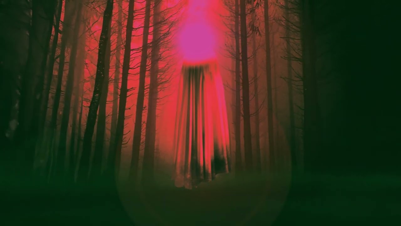 Amythyst Kiah​​​ - In The Pines (Official Audio)