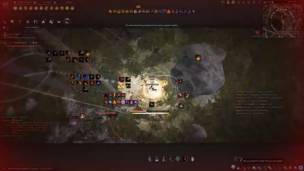 BDO | Rirûka Godlike Mystic PvP Montage