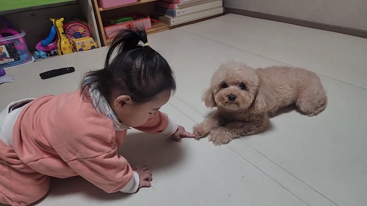 넌 누구냐!!