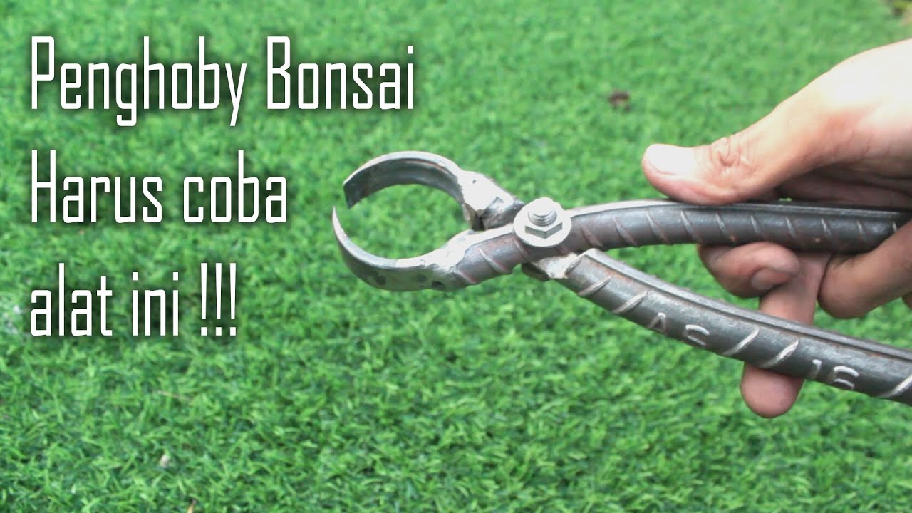 Tidak harus mahal_Ternyata begini proses pembuatan catok bonsai dari besi bekas