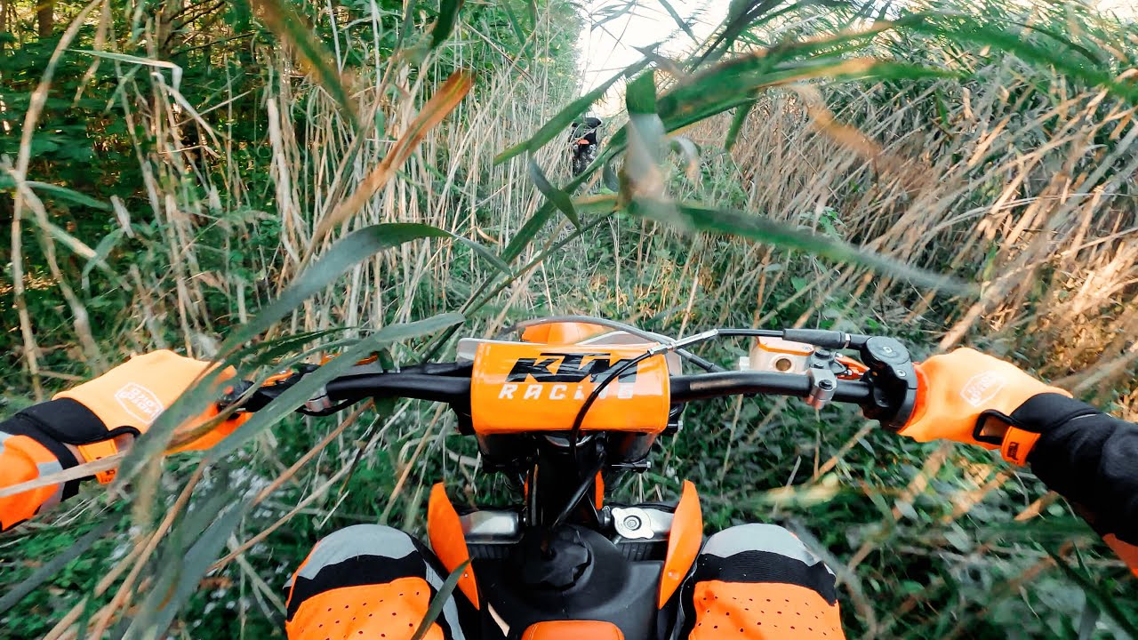 Исследование лесных троп — KTM125 и CRF250