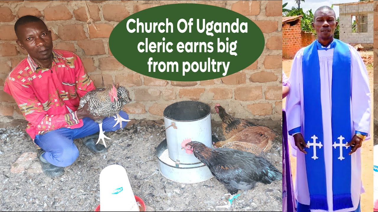 CHURCH OF UGANDA CLERIC EARNS BIG FROM LOCAL CHICKEN FARMING