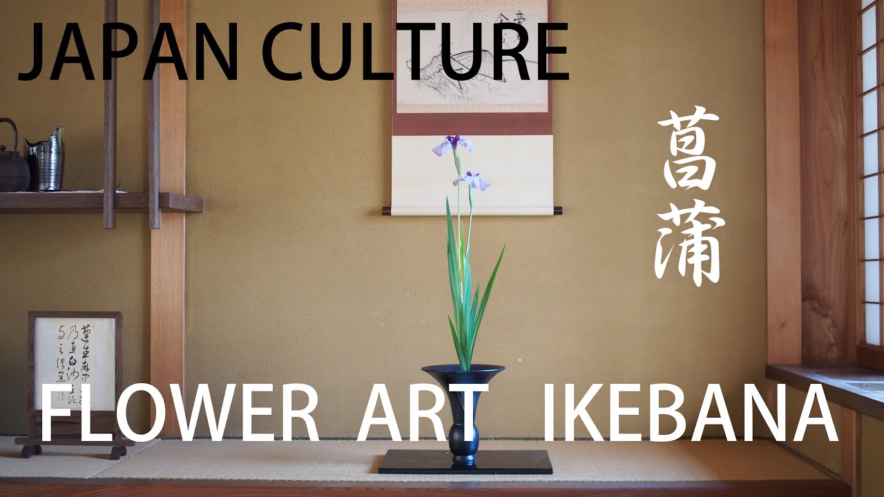 【Japan culture】I arrange 菖蒲,Ikebana【flower art】