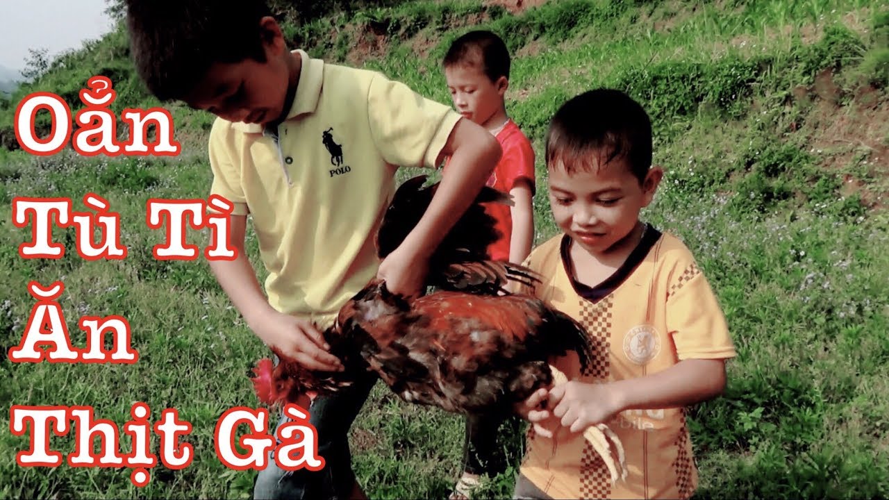 DTVN Vlog : (Tập 8) Bài học nhớ đời cho kẻ giám bắt nạt trẻ trâu