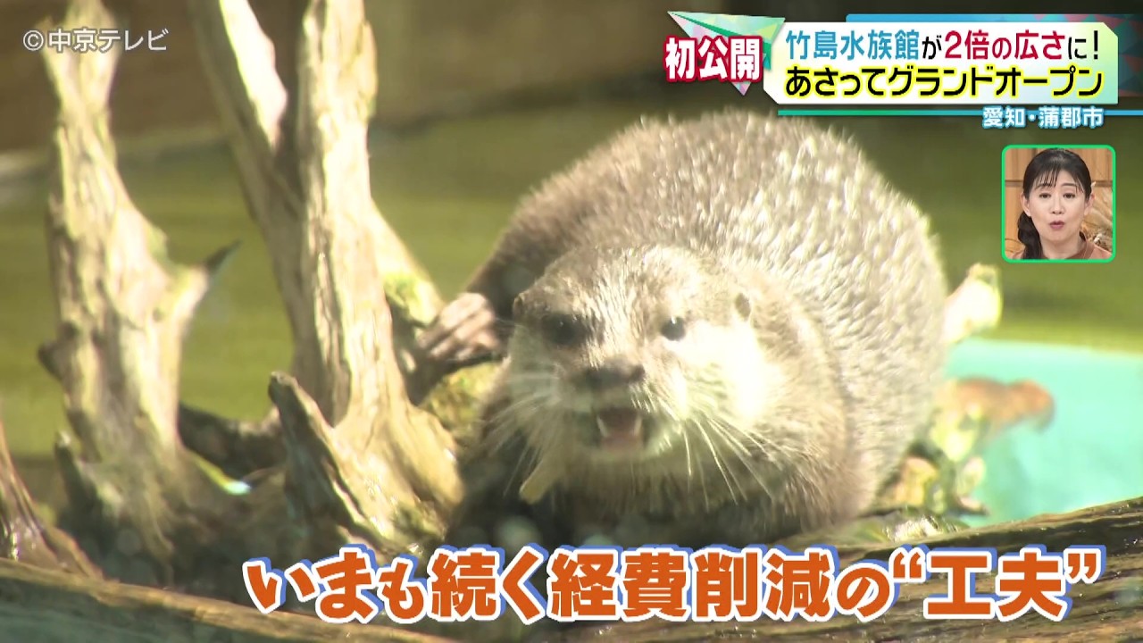 【竹島水族館】２倍の広さに！ 10月12日にグランドオープン！ 愛知・蒲郡市