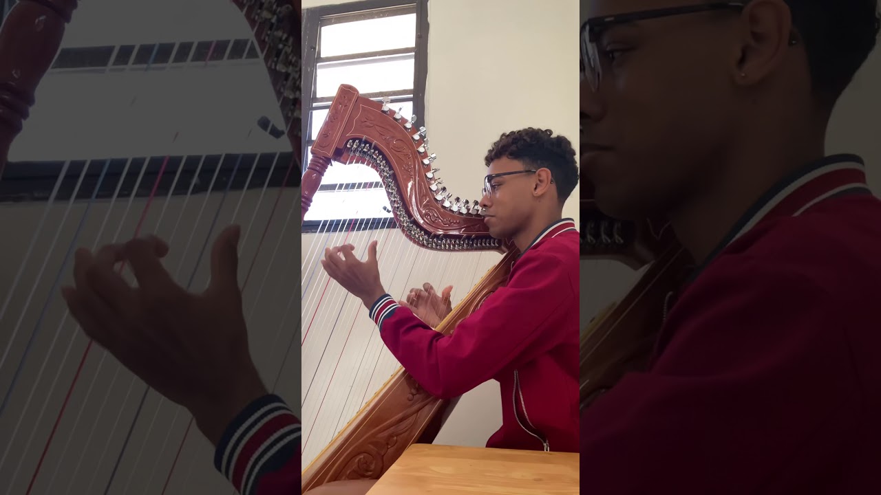 El Cascabel-Paraguayan Harp