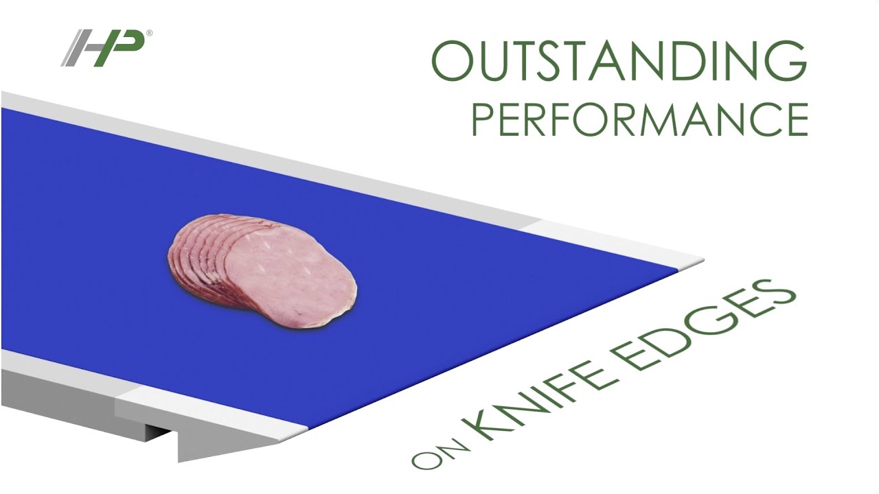 Chiorino HP® Best Hygienic Belts for HACCP (extended version)