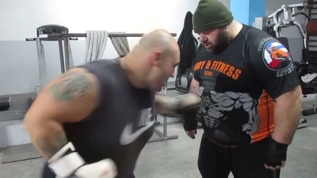 Grizzly vs elephant 190kg-145kg