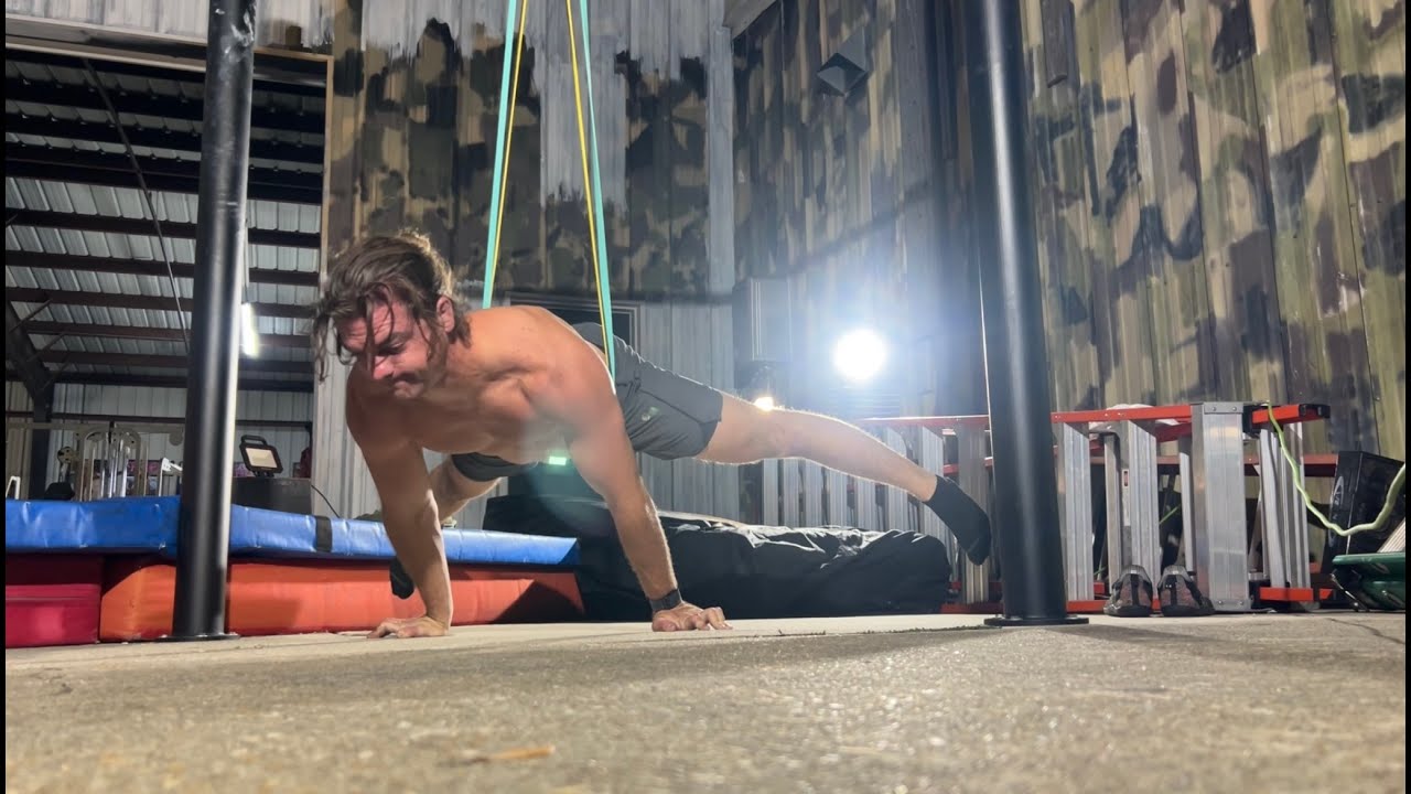 calisthenics log 3. Lots of planche training!