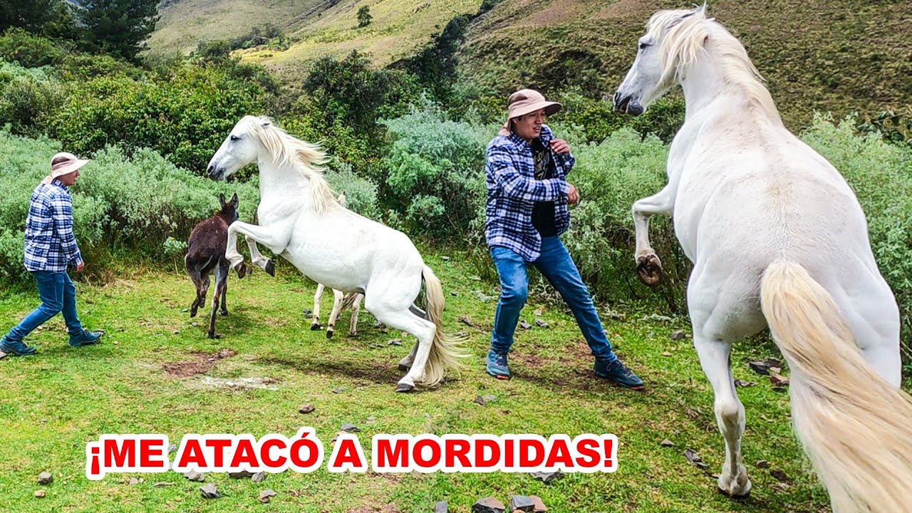 Visité a 