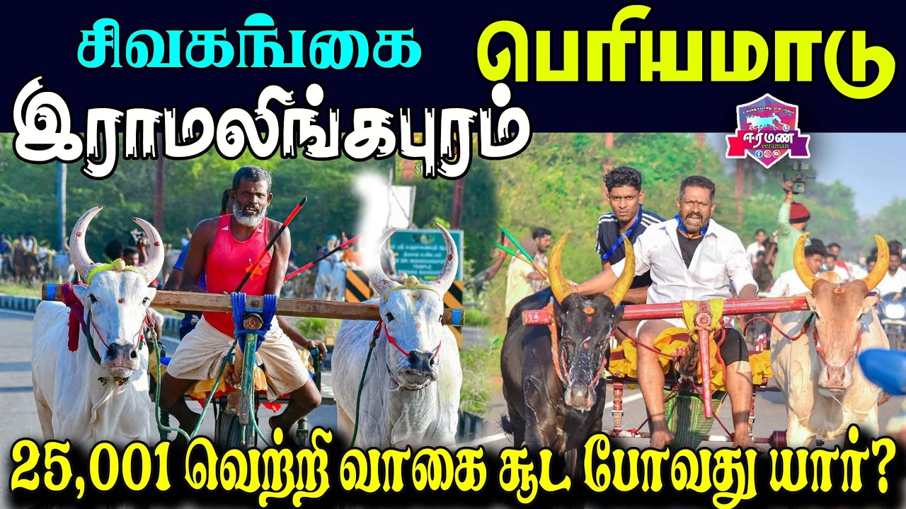 🔴LIVE(நேரலை) | ராமலிங்கபுரம்   | சிவகங்கை மாவட்டம் | பெரிய மாடு  | பந்தயம்