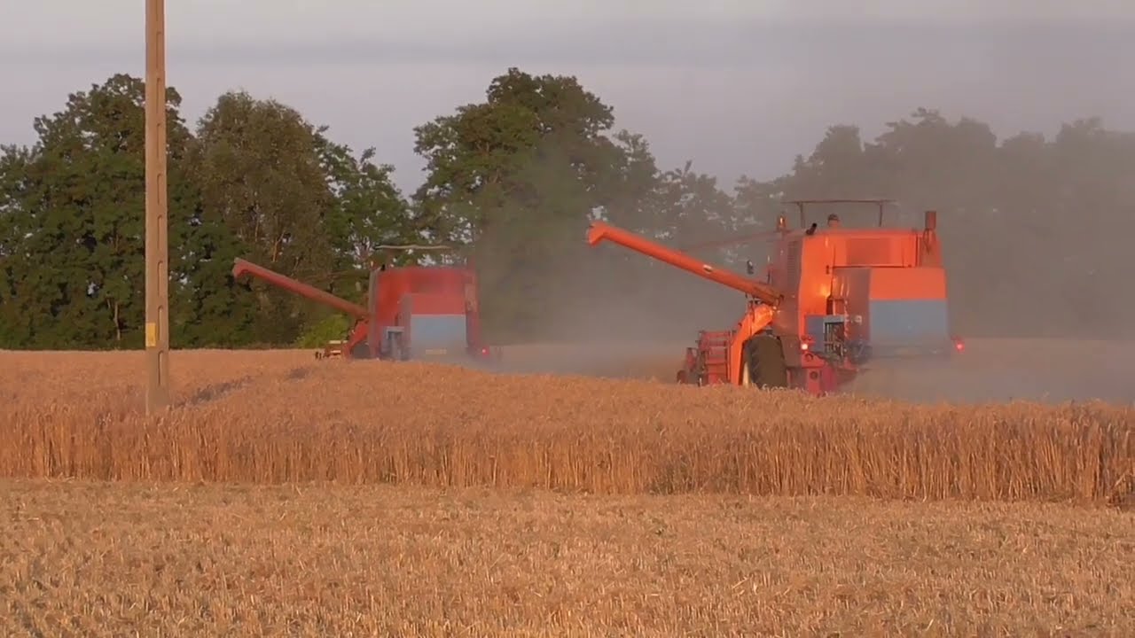 Żniwa do późnego wieczora🌾 czyli polskie żniwa 2022 🔥