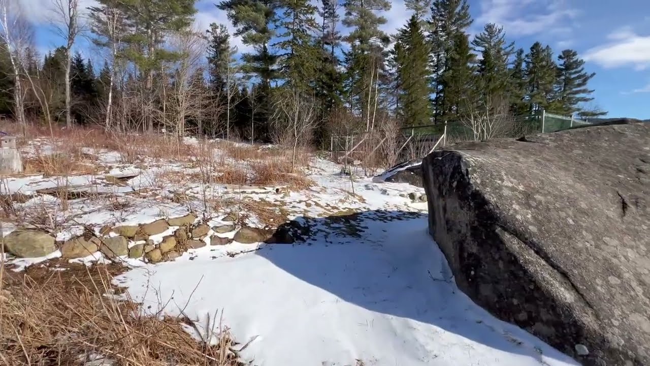Harsh Winter in the Forest Garden