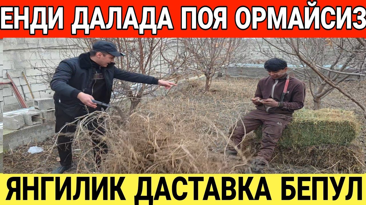 ЯНГИЛИК ЕНДИ ДАЛАДА ИШЛАМАЙСИЗ АРЗОН ЖТЙИДАН ДРОБИЛКА НАРХЛАРИ ДАСТАВКА БЕПУЛ