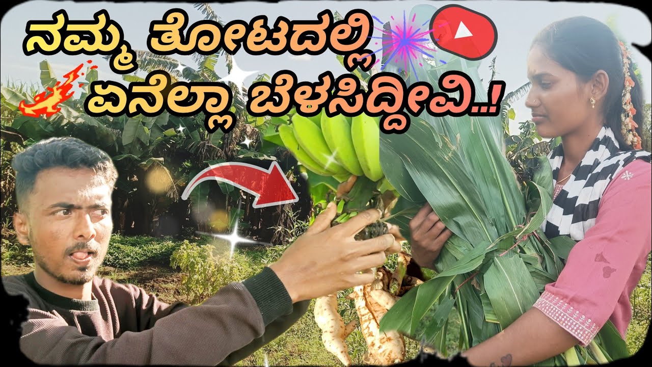 || ನಮ್ಮ ತೋಟದಲ್ಲಿ ಏನೆಲ್ಲಾ ಬೆಳೆಸಿದ್ದೀವಿ ನಿಮಗ ಗೊತ್ತಾ || Namma Form Tour! #couple 