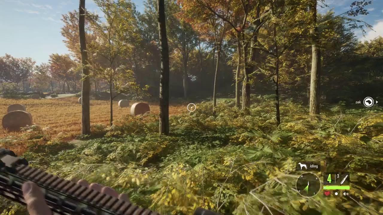 THE HUNTER CALL OF THE WILD