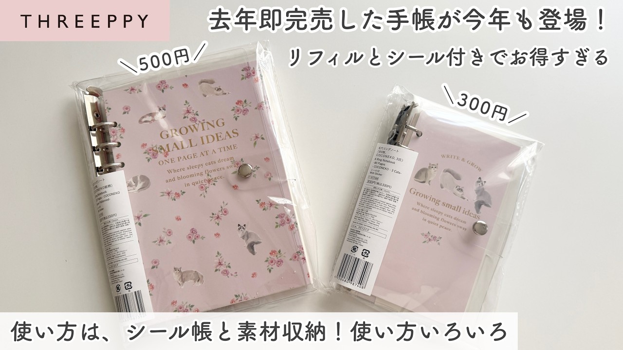 【THREEPPY購入品】去年即完売したスリーピーの手帳が今年も登場！シール帳や、素材収納にも使える万能システム手帳｜ダイソー購入品