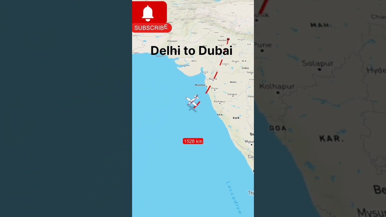Delhi to Dubai flight ✈️🛫#travel #trendingshorts #reels #trending #flight