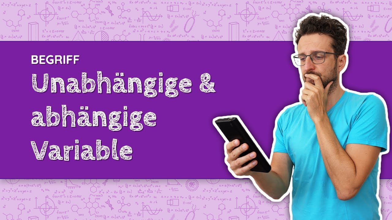 Funktionen: Die Unabhängige und Abhängige Variable