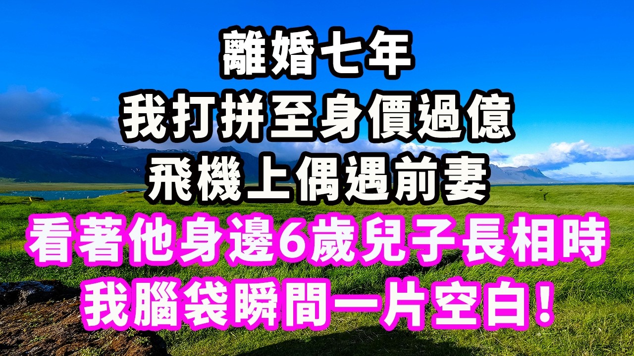 離婚七年我打拼至身價過億，飛機上偶遇前妻，看著他身邊6歲兒子長相時，我腦袋瞬間一片空白！#爽文#大女主#現實情感#家庭