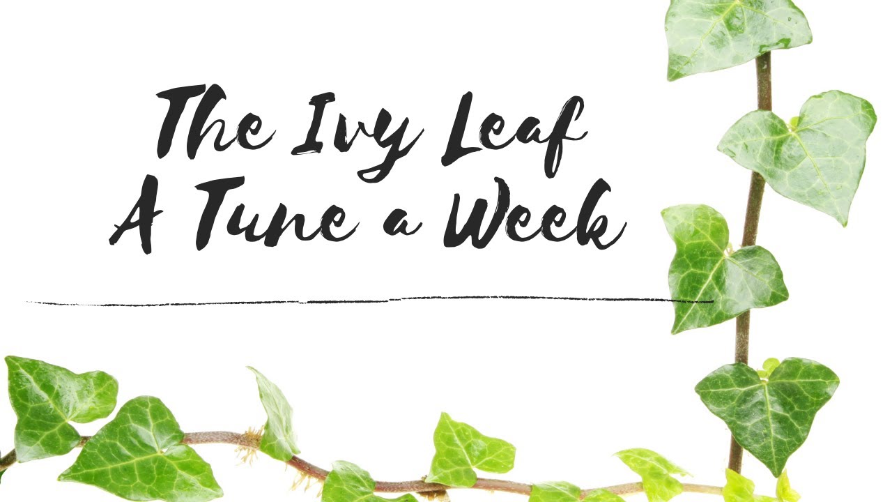 The Ivy Leaf: Tune 36 of 52