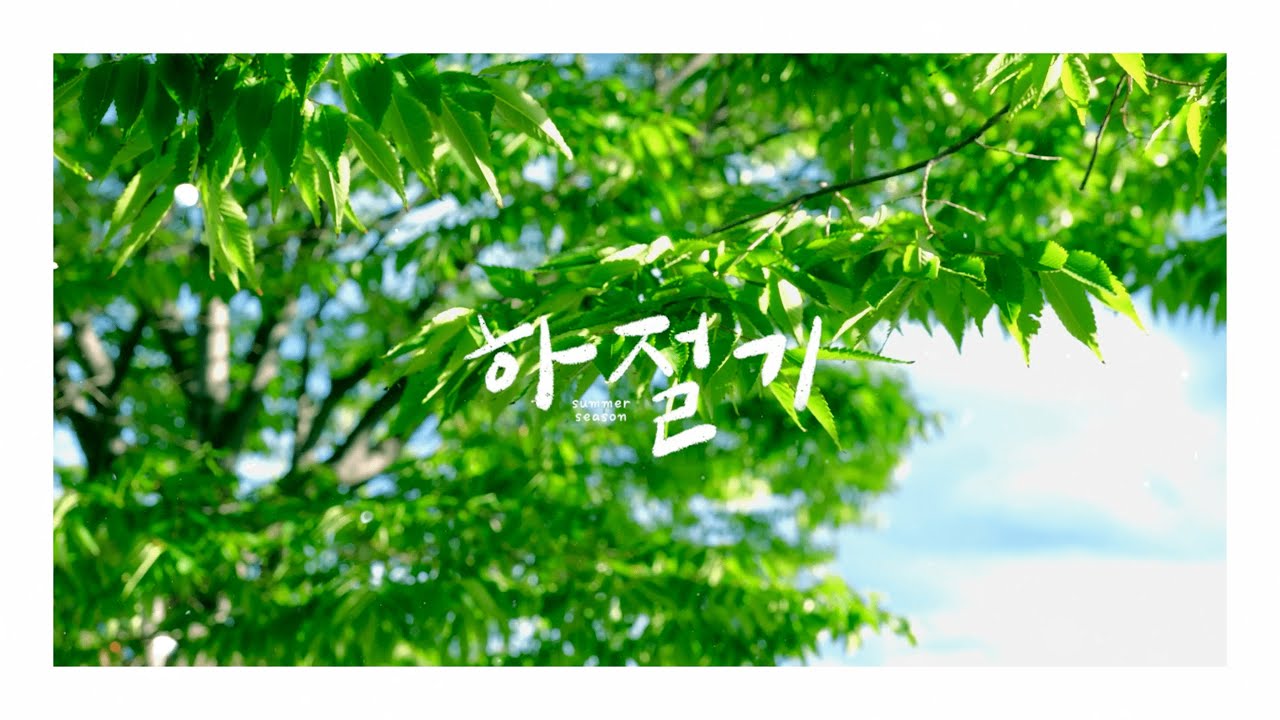 【티저】 하절기