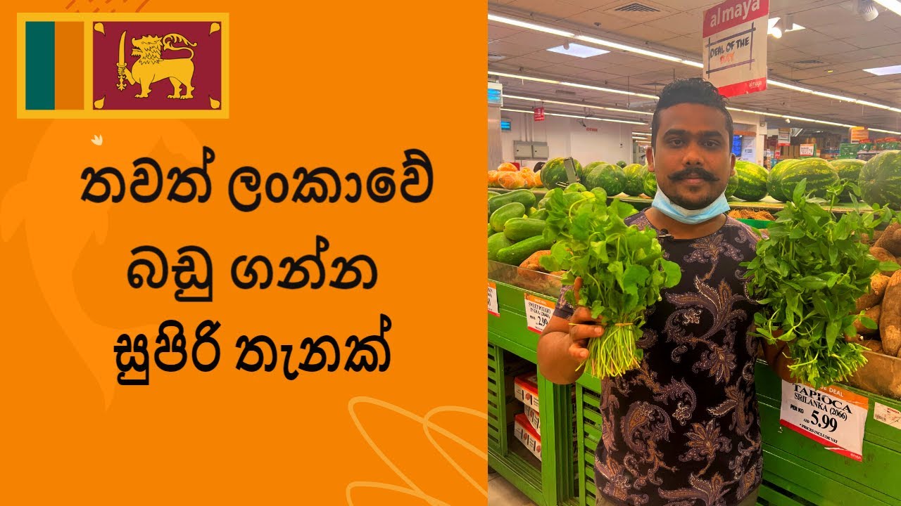 Al Maya Supermarket| ඩුබායි වල ලංකාවෙ බඩු| Ceylon iBackpacker