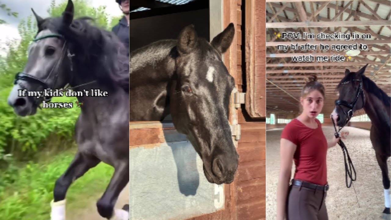 🤎Horse Tiktoks That Went Viral!🤎