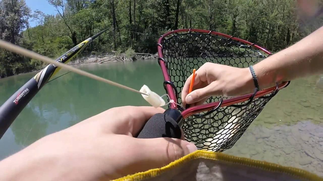 Pescare a bolognese in fiume