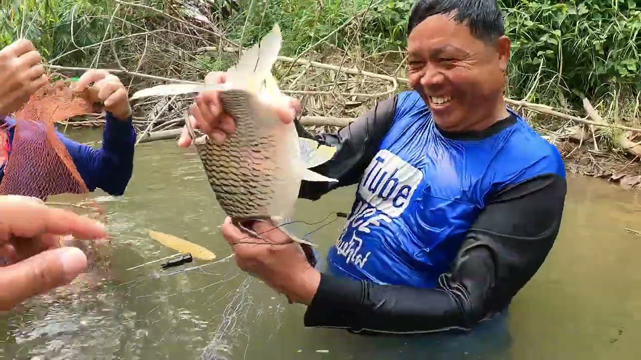 ครัวป่าไผ่ - ลงน้ำจับปลากับพ่อ l ตอน ลงข่ายจับปลา แม่น้ำฝาง ได้ปลาตัวใหญ่
