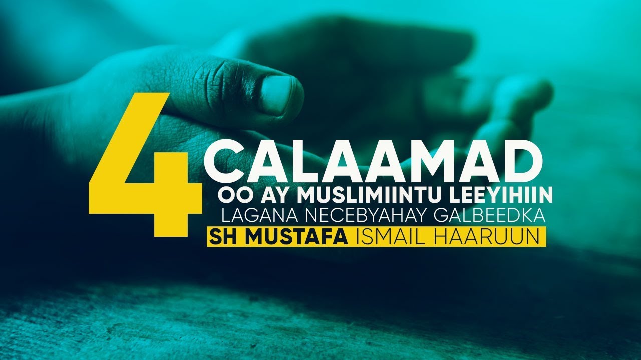 4 Calaamad oo ay Muslimiinta Galbeedku  Leeyihiin  ayna Necebyihiin Reer  Galbeedku