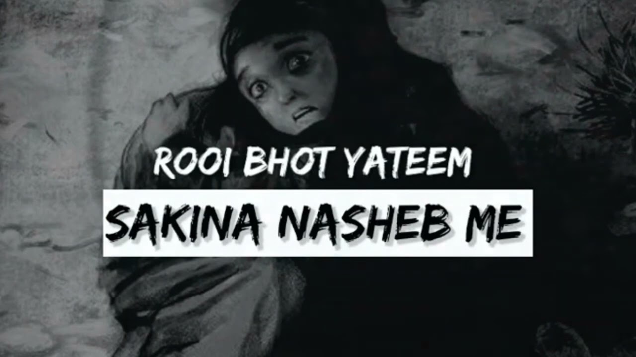 ROI BAHOT YATEEM SAKEENA NASHEB ME | SLOWED AND REVERB NOHA NEW NOHA 2024