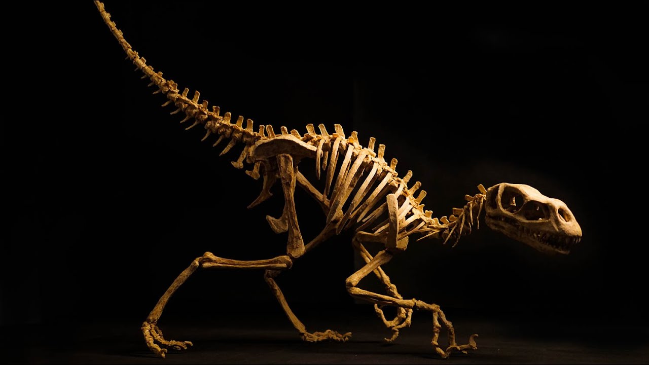 How to make an amazing 1:1 carnivorous little dinosaur with your 3D printing pen！！！